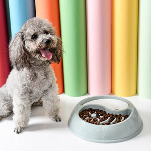 Dog Choking Prevention And Food Bowl Drinking Water Not Wet Mouth Dog Basin Puppy Paws Place