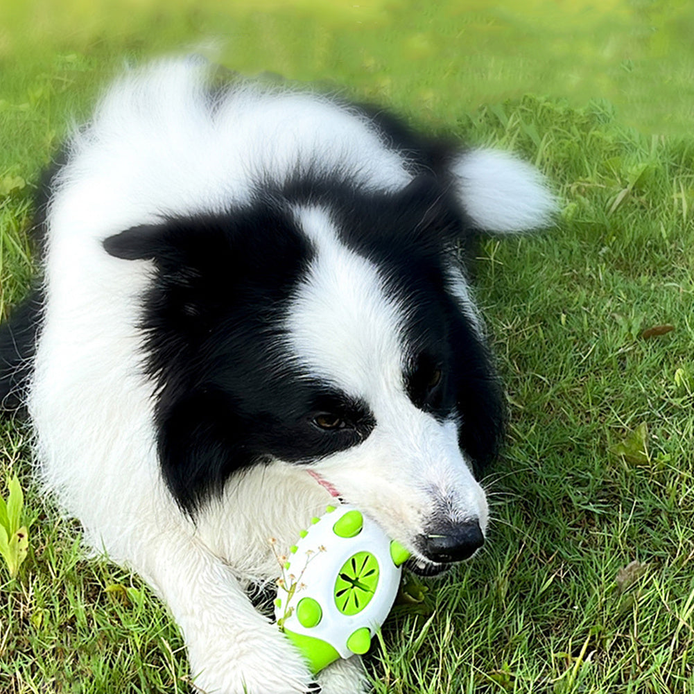 Food Leaking Dog Chewing Toy