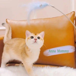 Cat Toy Self-Hi Relieving Stuffy Kitten Funny Supplies Hat Puppy Paws Place