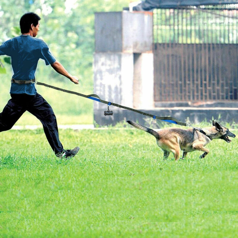 Multi-function running Dog leash