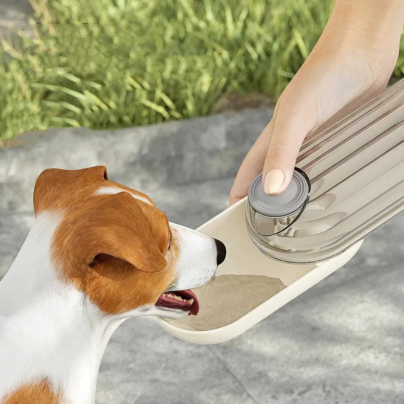 2 In 1 Pet Water Cup Segment Design Green Dog Walking Portable Drinking Cup Dog Feeding Supplies Pet Supplies Dog Walking Water Feeder Pets Products Puppy Paws Place