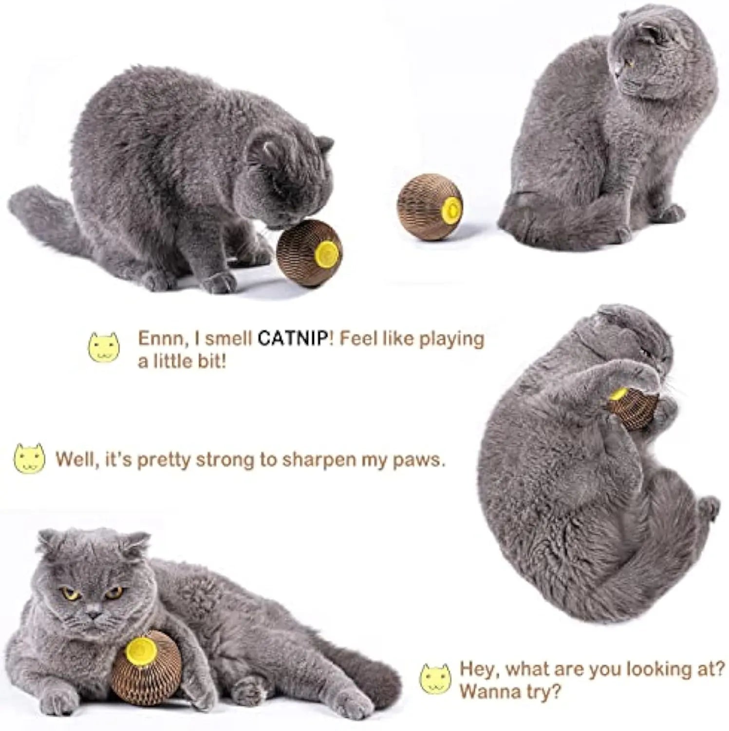 Catnip Ball Toy For Cats Catnip Refillable Scratcher Ball Kitty's Faithful Playmate Reduce Obesity And Loneliness Puppy Paws Place