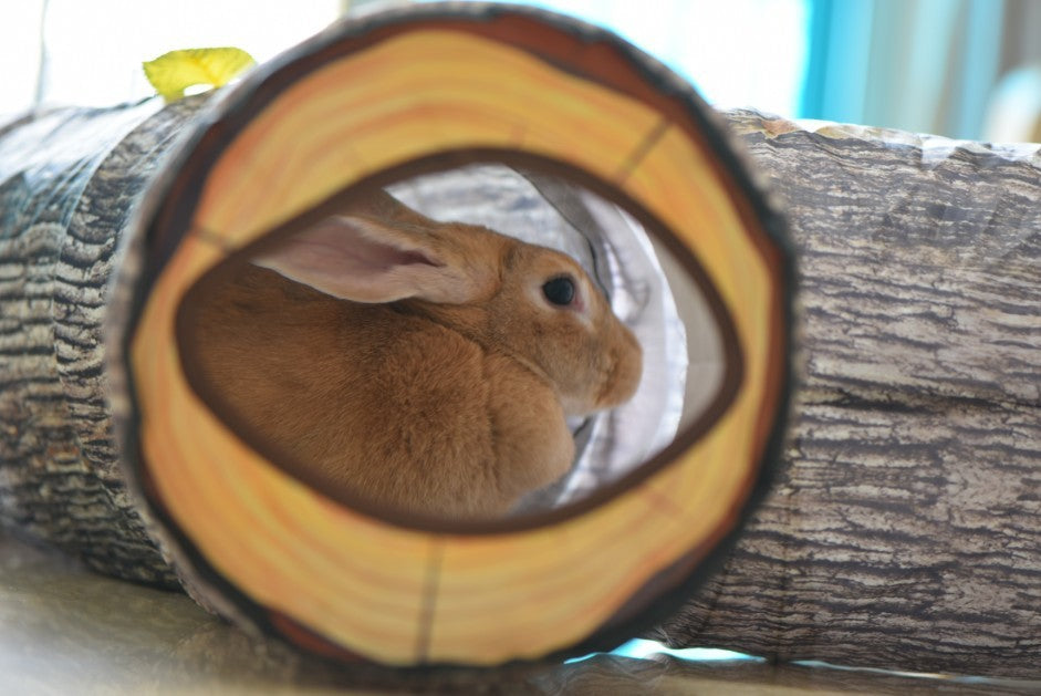 Pet Pattern Tunnel Toy