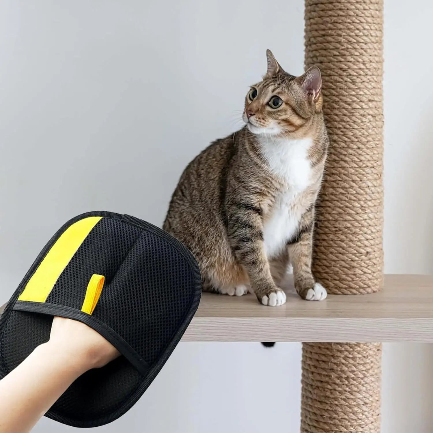 Pet Electrostatic Hair Removal Gloves Two-way Bristle Remover Hair Removal Brush Sticky Hair Artifact Cat Hair Gloves Cat Hair Removal Comb Puppy Paws Place