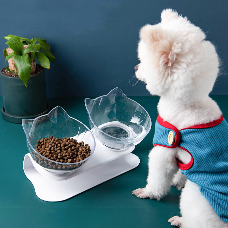 Transparent Inclined Food Bowl