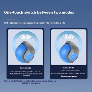 SPEEDY TAIL 2.O - Puppy Paws Place