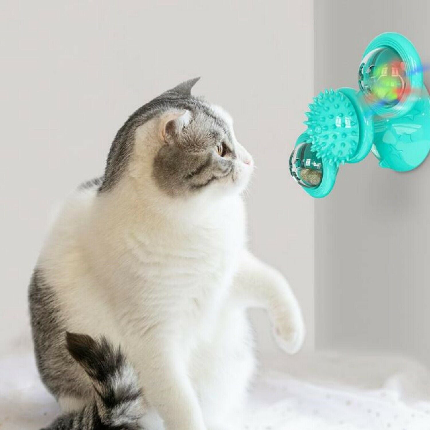 Cute Rotating Windmill Cat Toy